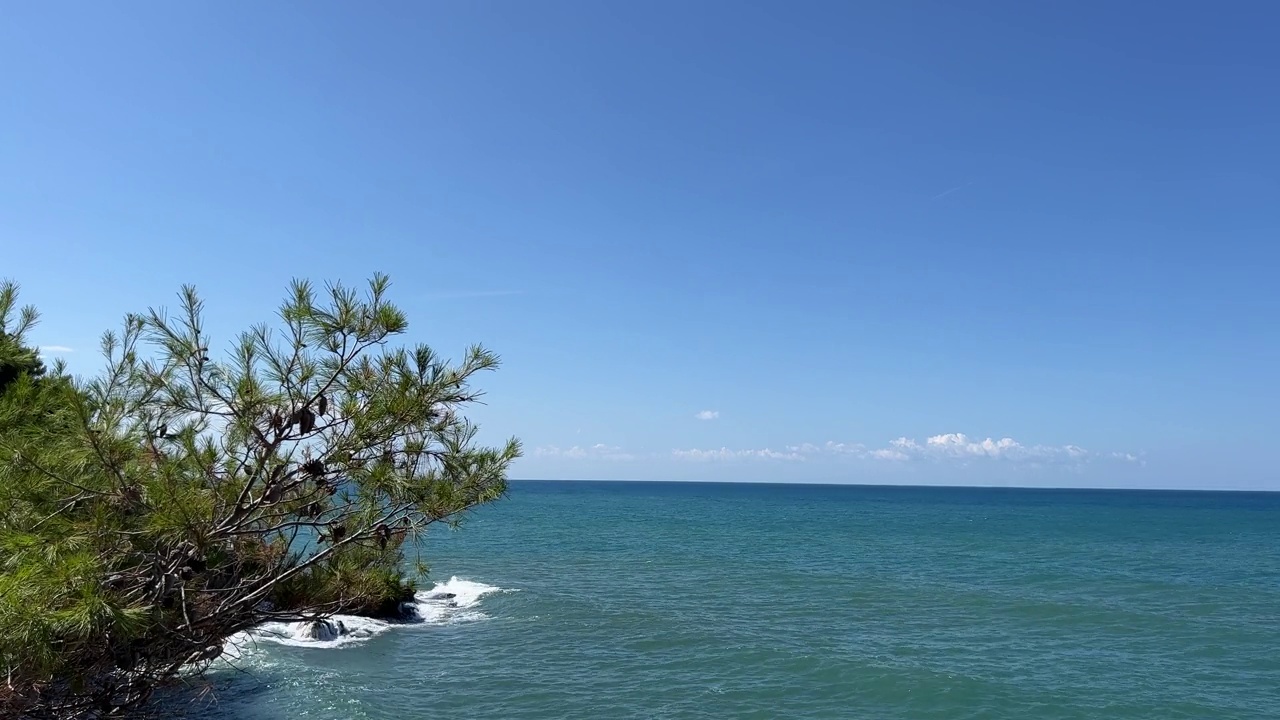 蓝色的海浪和松树。视频素材