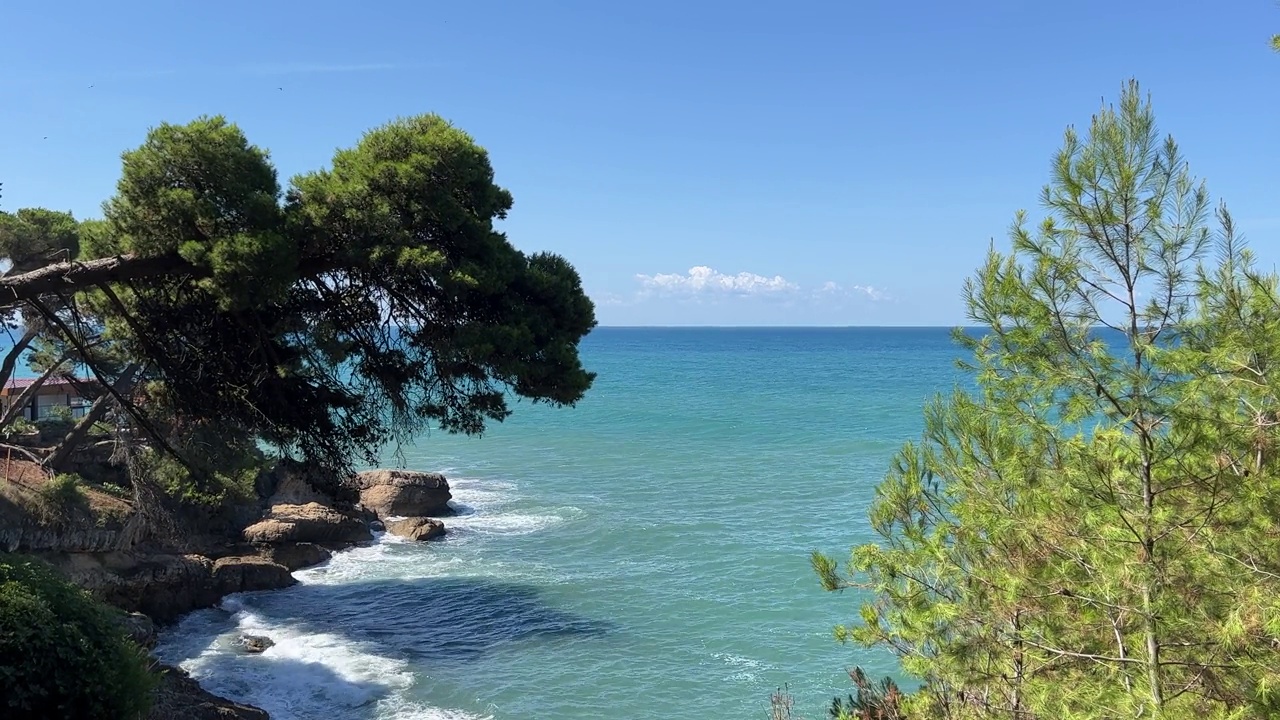 海边有松树，风景优美。视频素材