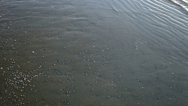 海上日出时视频素材