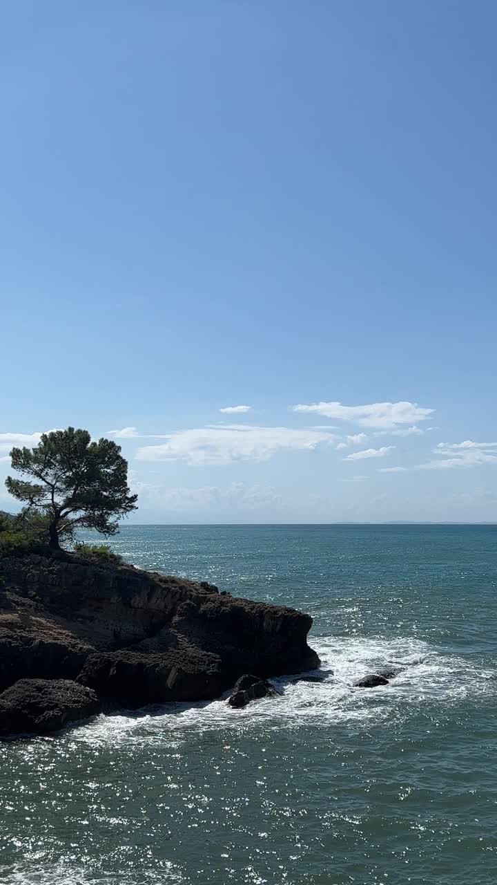 海和松树在岩石海岸，垂直视频。视频素材