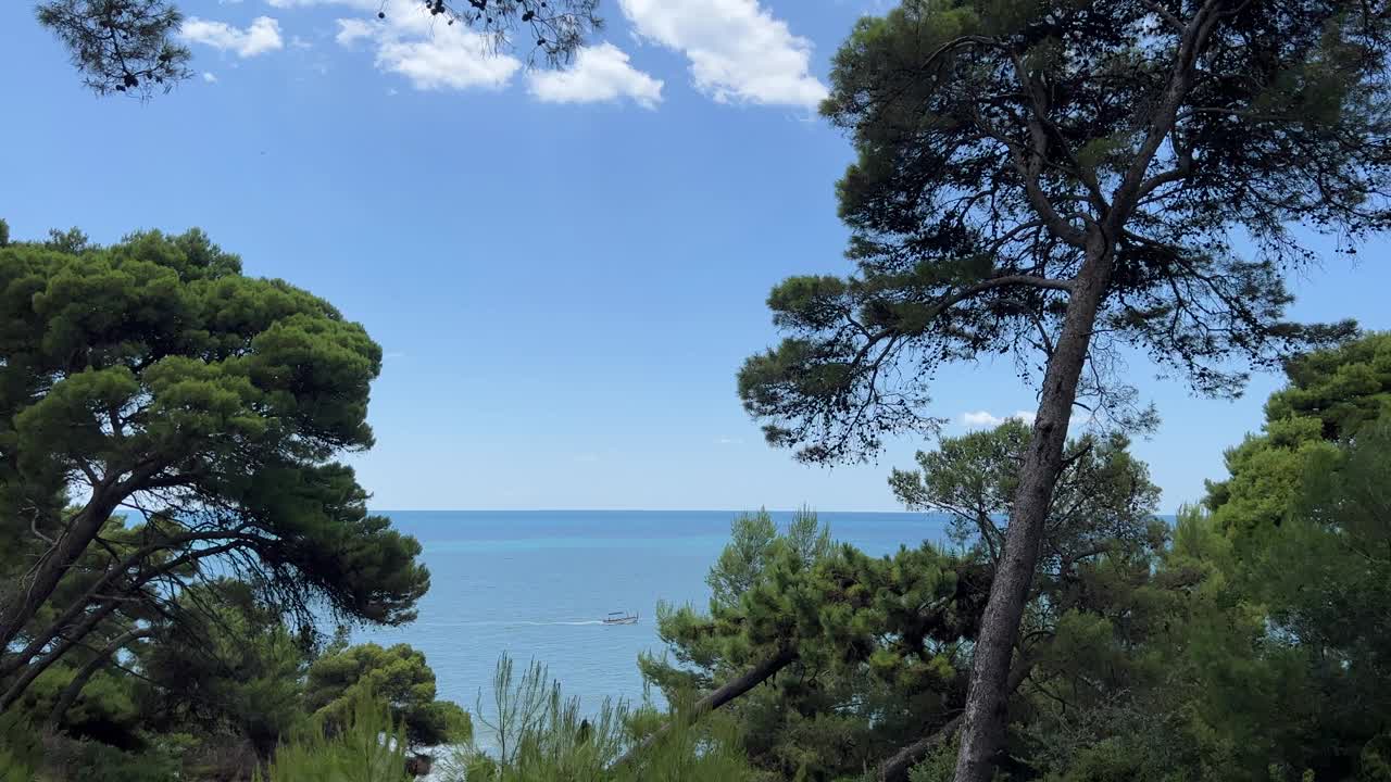 夏天蔚蓝的大海和海岸上的松树。视频素材