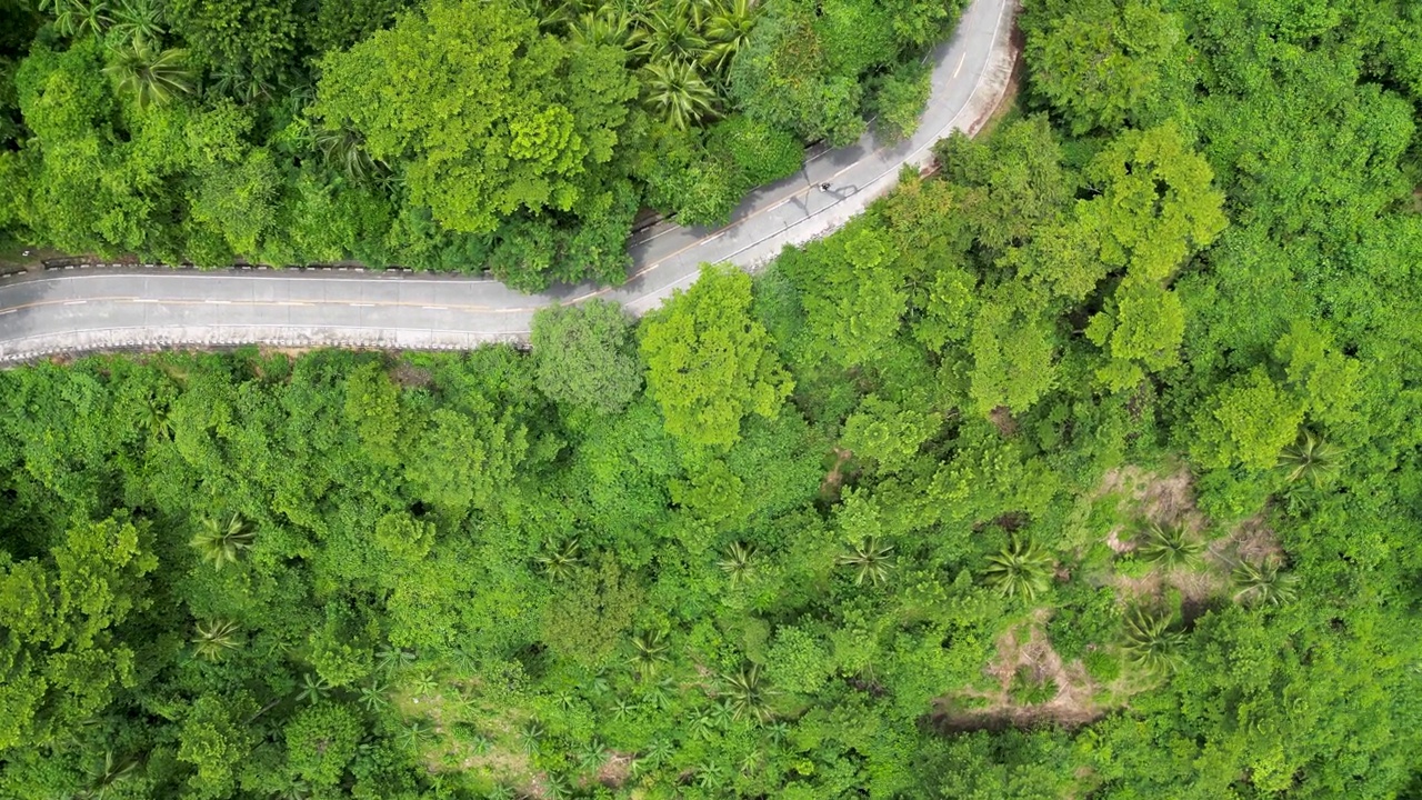 风景与丛林周围的跑步道路和摩托车视频素材