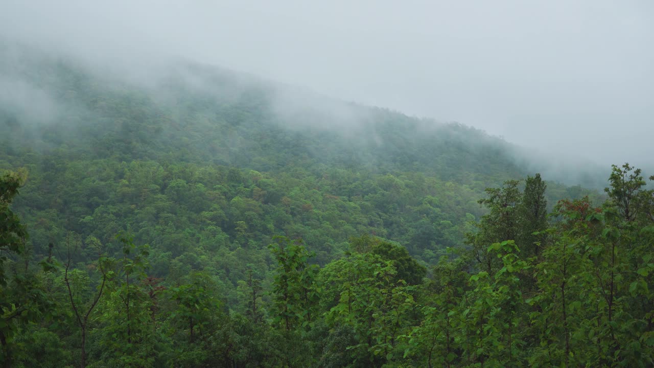 在印度古吉拉特邦的Saputara山站，4K拍摄的云在山上移动。在季风季节，云在郁郁葱葱的萨亚德里山上移动。雨季山上的云。视频素材