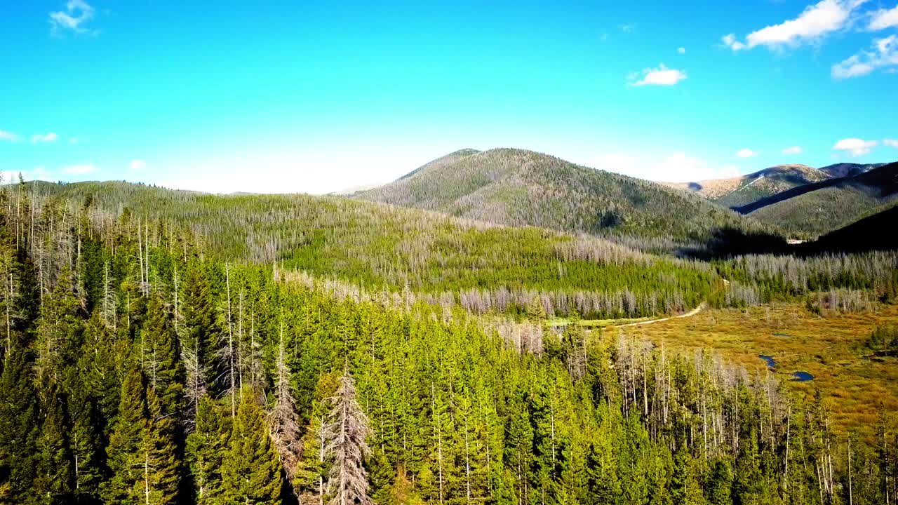 空中平移拍摄的绿色树木在森林附近的山脉，无人机飞越自然景观对天空在晴朗的日子-比林斯，蒙大拿州视频素材