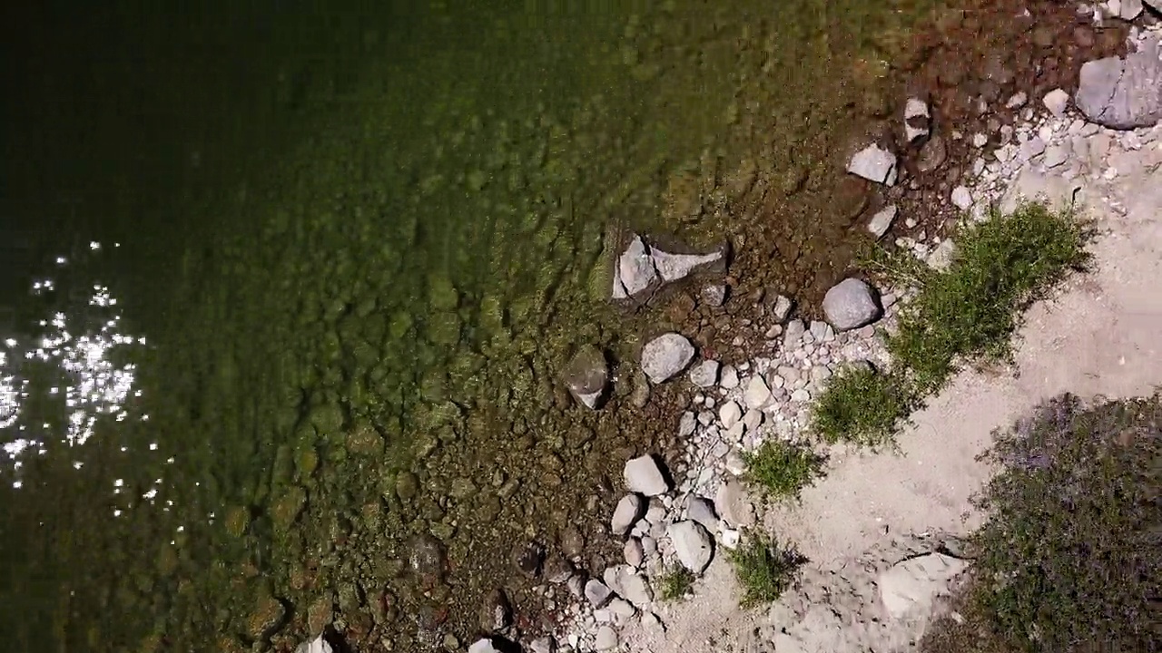 阳光明媚的日子里，从空中俯瞰湖边的植物——蒙大拿比林斯视频素材