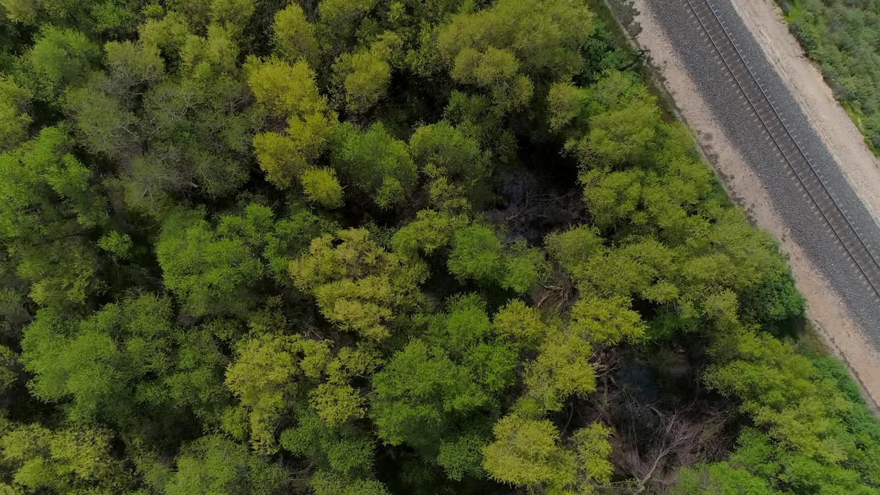 航拍倾斜的绿色树木附近的铁路和公路，无人机飞越景观多云的天空-贝克斯菲尔德，加州视频素材