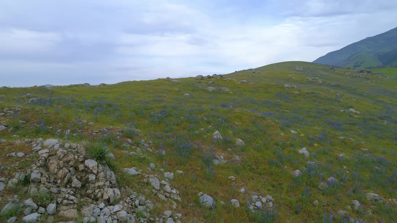 空中平移拍摄的绿色山脉附近的车辆对天空的道路，无人机在日落景观飞越-贝克斯菲尔德，加利福尼亚州视频素材