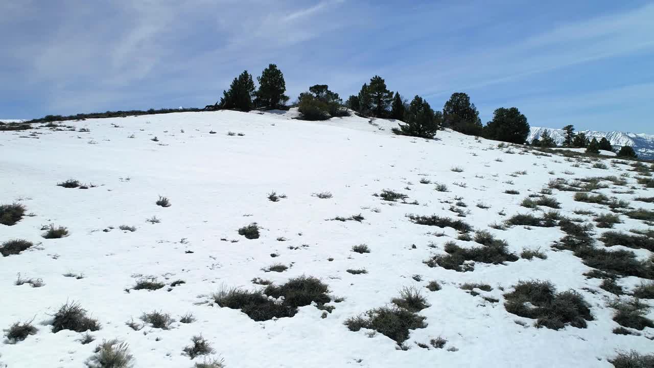 在阳光明媚的日子里，在树木和植物上，在山脉附近的积雪上，空中上升视频素材