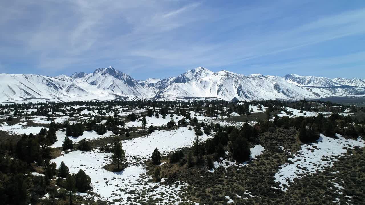 在阳光明媚的日子里，在山脉附近的树木和有雪的植物上空中飞行-猛犸湖，加利福尼亚视频素材