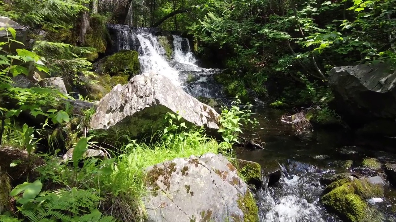 空中俯瞰小溪流，原木和岩石通向树林里美丽的瀑布视频素材