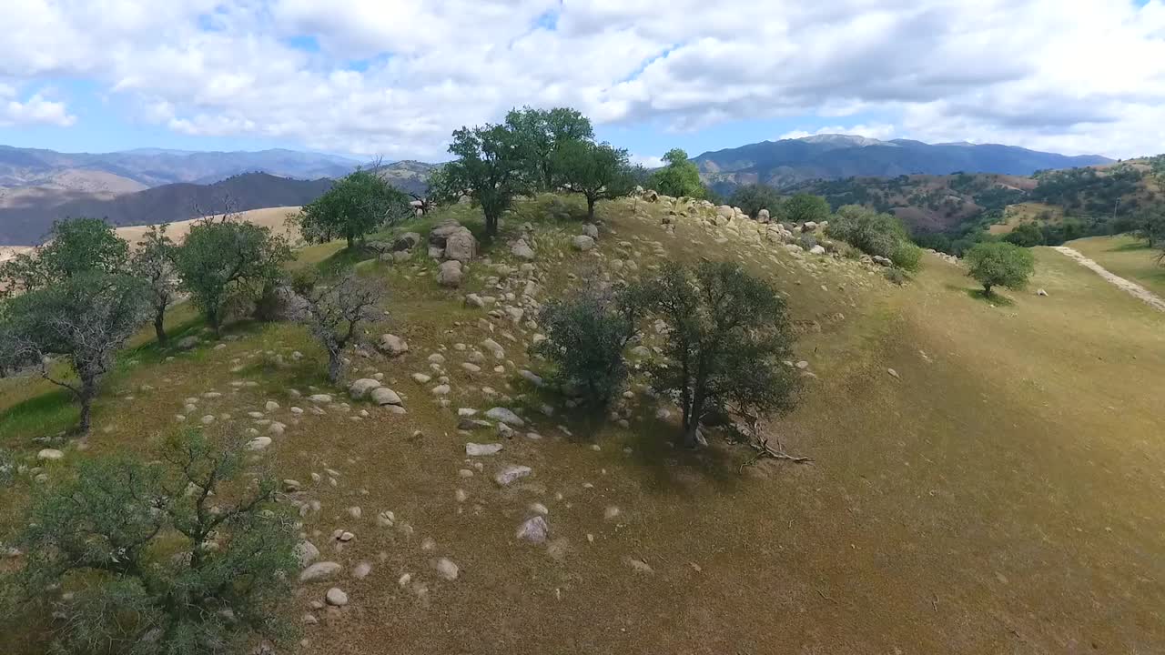 在春天飞越加州的绿色山脉，那里有大树和岩石视频素材