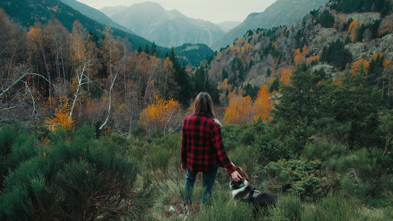 带着家狗的旅行者在美丽的山间旅行中享受自由视频下载