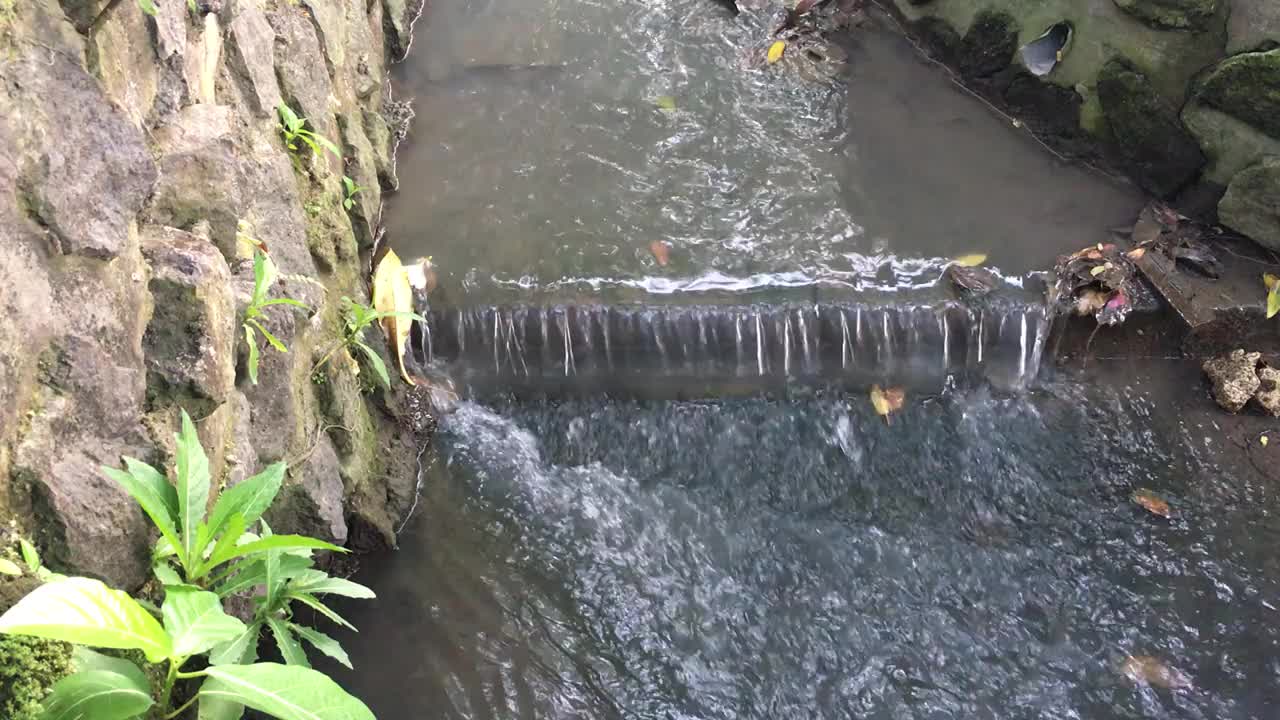 河水在河流中流动，岩石边缘长满了草视频下载