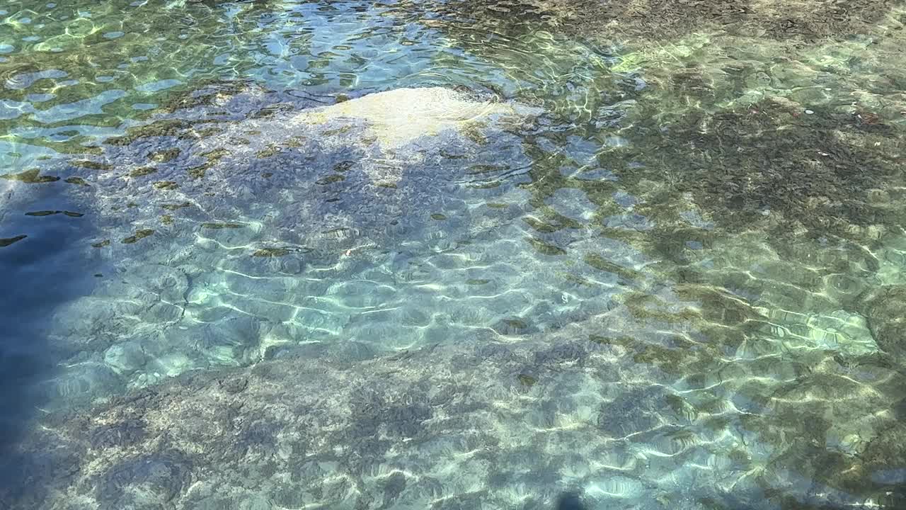 海水中的圆圈。视频素材