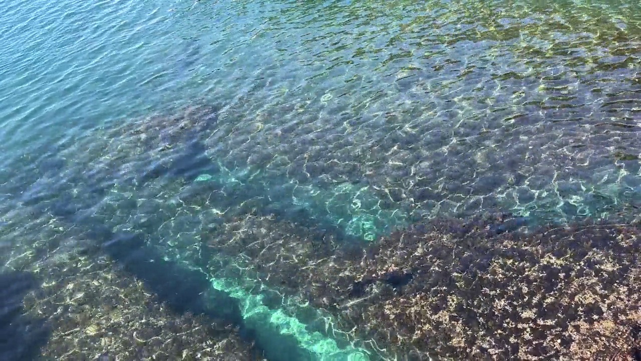 碧绿的海水里有海藻，海底有鹅卵石，水里有清澈的涟漪。视频素材