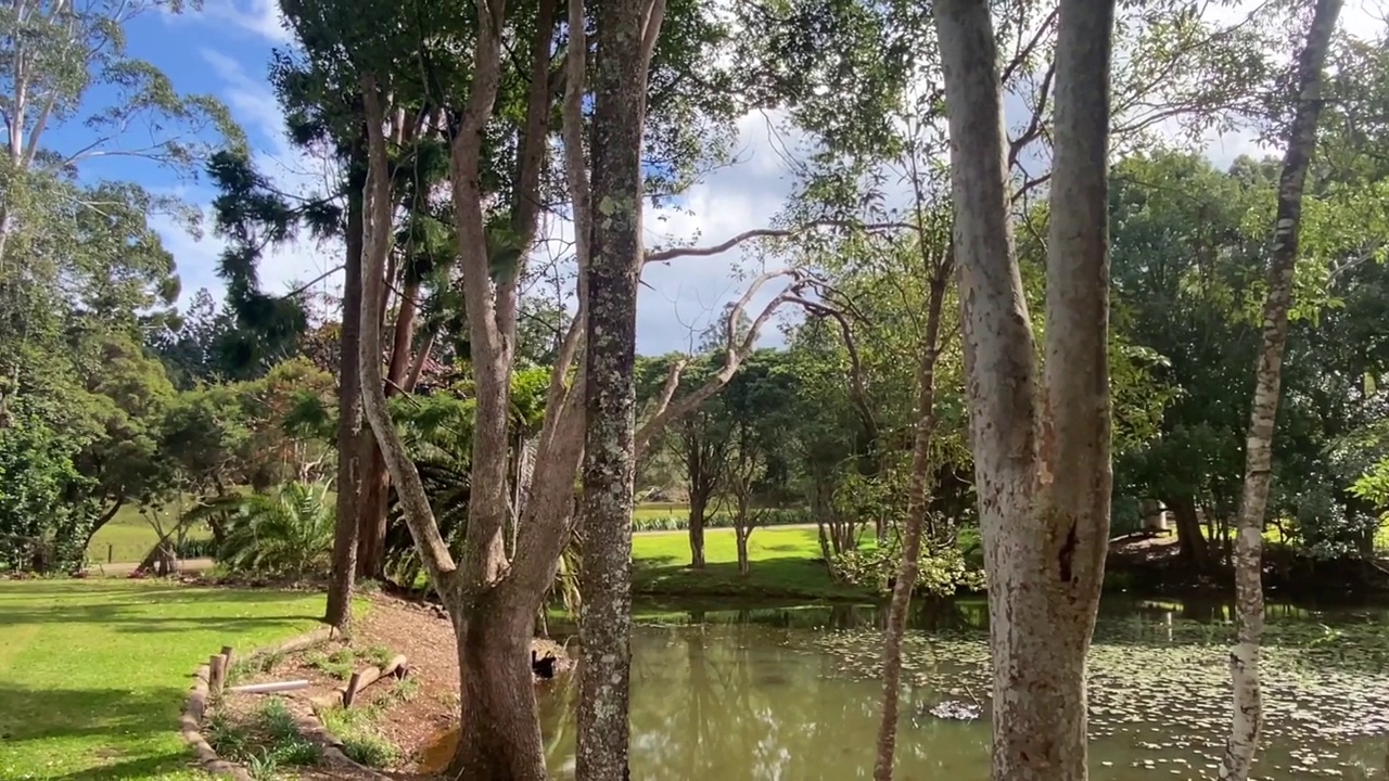 澳大利亚乡村景观与小溪视频素材