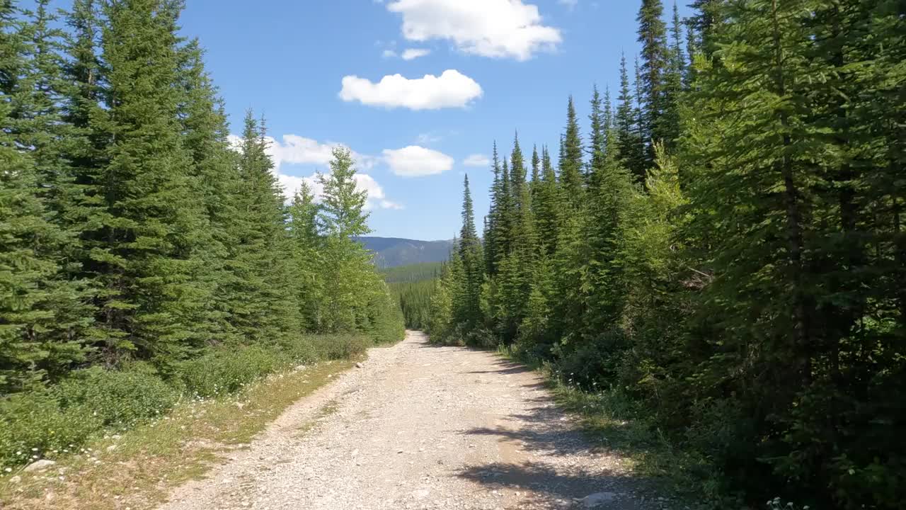 沿着山路行驶的风景视频素材