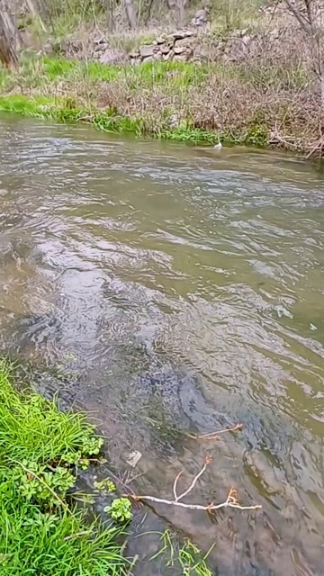 冷山河慢动作。视频下载