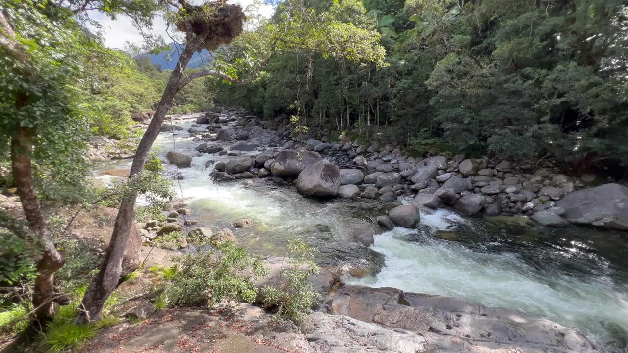 莫斯曼峡谷丹特里雨林位于澳大利亚昆士兰北部的热带湿润地区视频素材