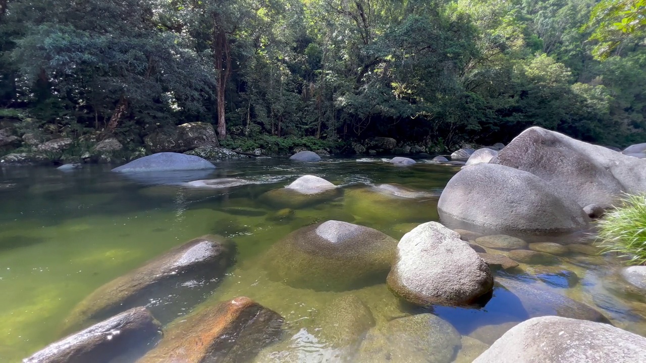 莫斯曼峡谷丹特里雨林位于澳大利亚昆士兰北部的热带湿润地区视频素材