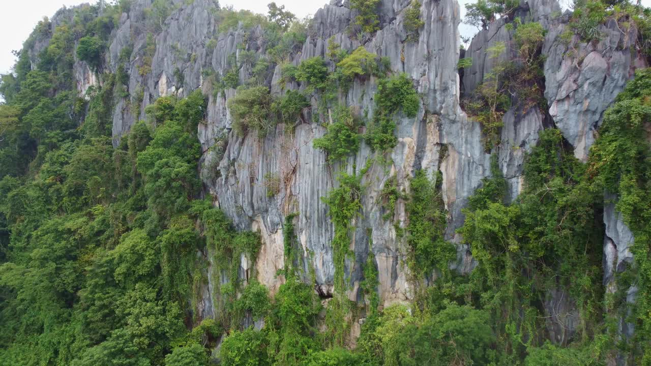 空中雨林之美|迷人的无人机摄像视频素材