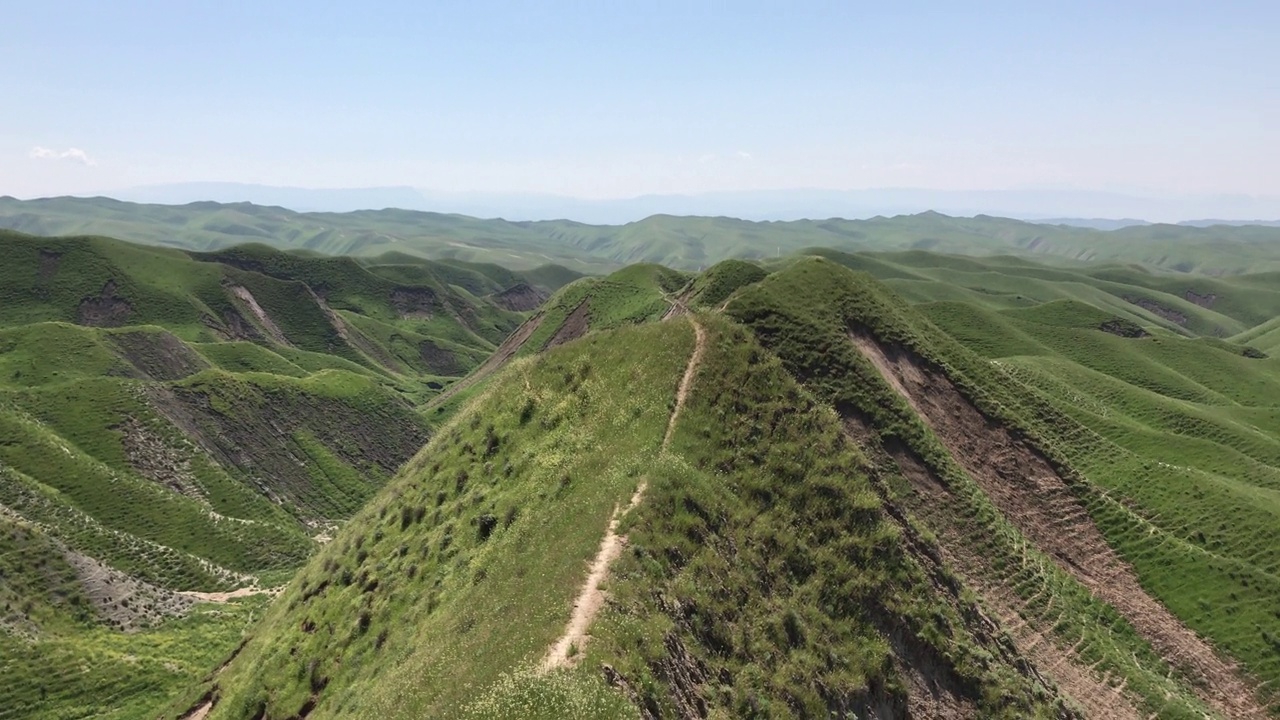 在土库曼撒哈拉的绿色山丘上淘金视频素材