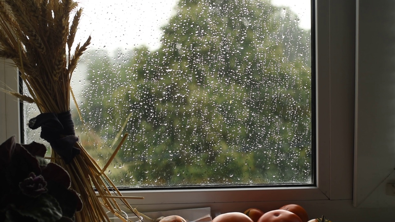 窗外的景色，玻璃上布满了雨滴。视频素材