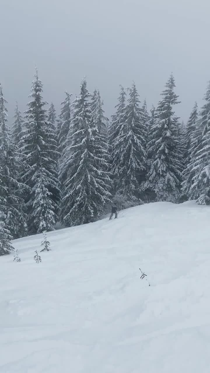 男子滑雪者从粉坡上视频素材