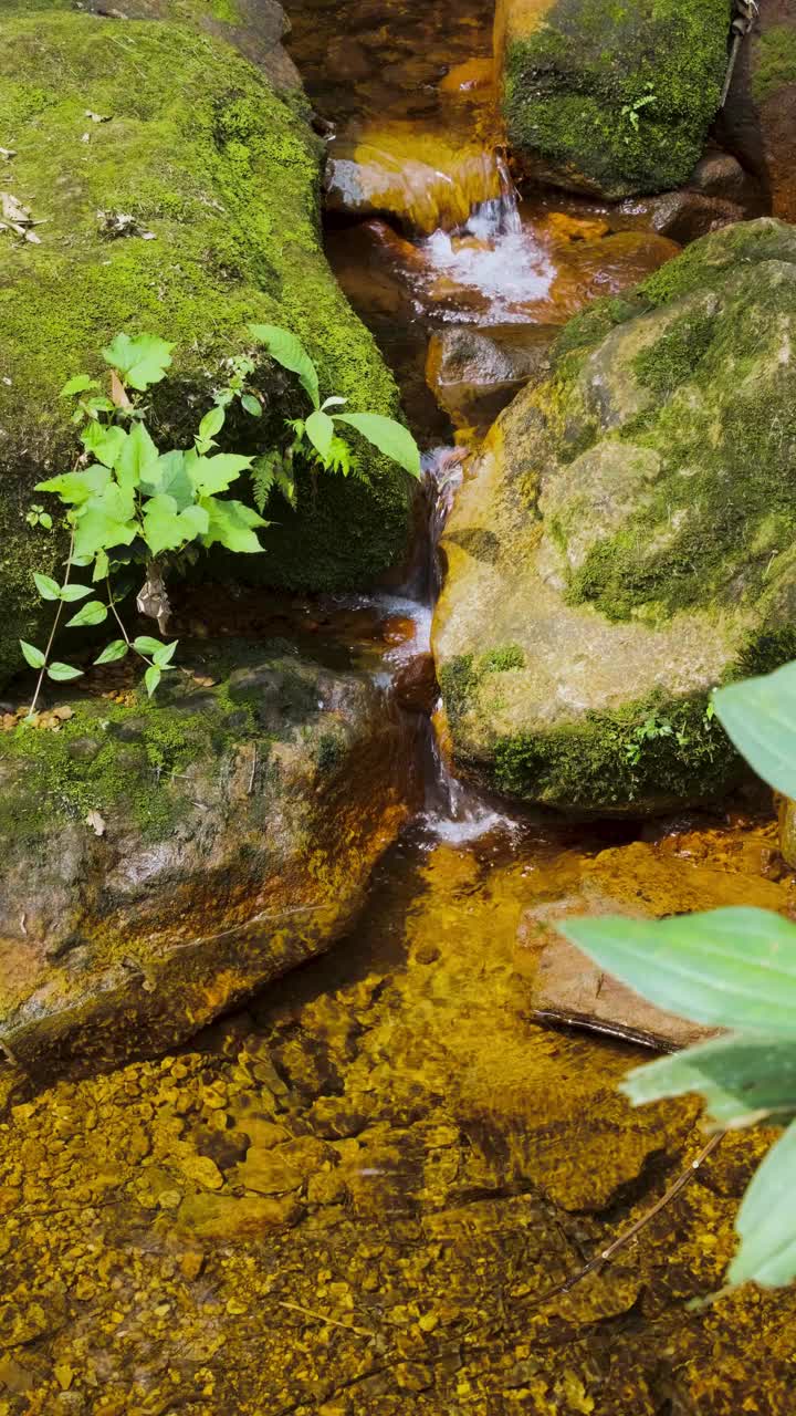 4k视频，清澈的自然河流很好看视频素材