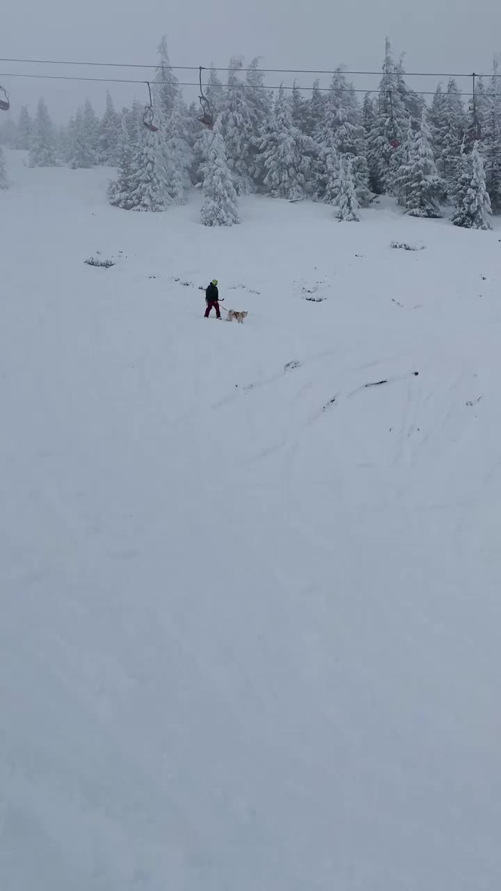 一个人带着狗在滑雪坡上视频素材