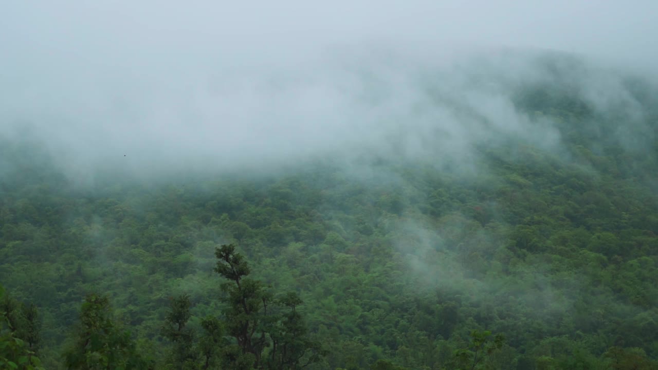 云在印度古吉拉特邦萨普塔拉山站的山上移动。在季风季节，云在郁郁葱葱的萨亚德里山上移动。雨季山上的云。视频素材