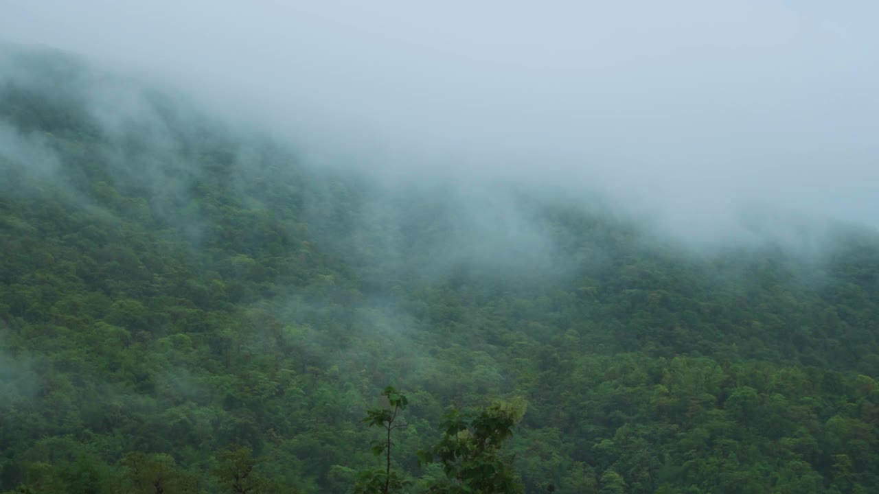 云在印度古吉拉特邦萨普塔拉山站的山上移动。在季风季节，云在郁郁葱葱的萨亚德里山上移动。雨季山上的云。视频素材