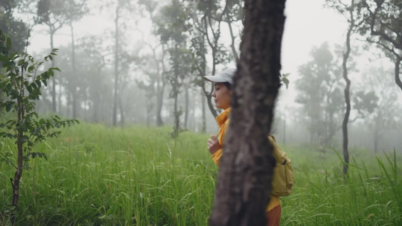 穿着黄色雨衣背着背包的女徒步旅行者在森林里徒步旅行视频素材