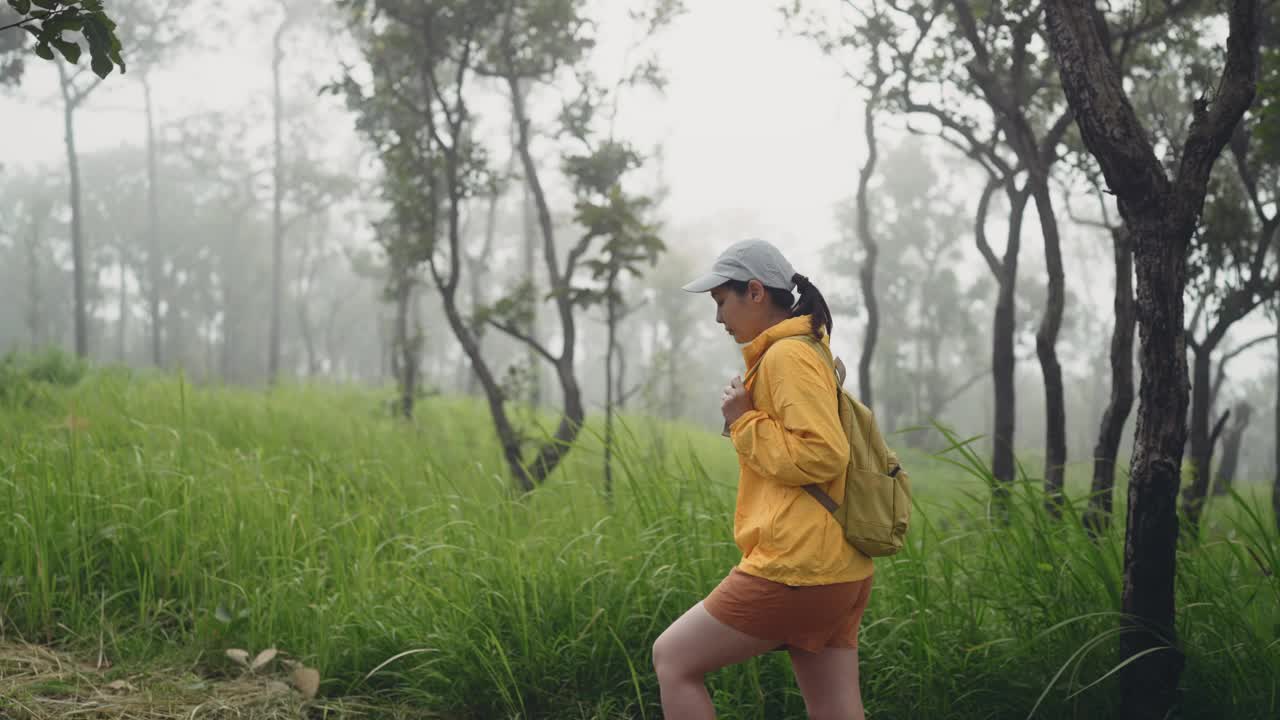 穿着黄色雨衣背着背包的女徒步旅行者在森林里徒步旅行视频素材