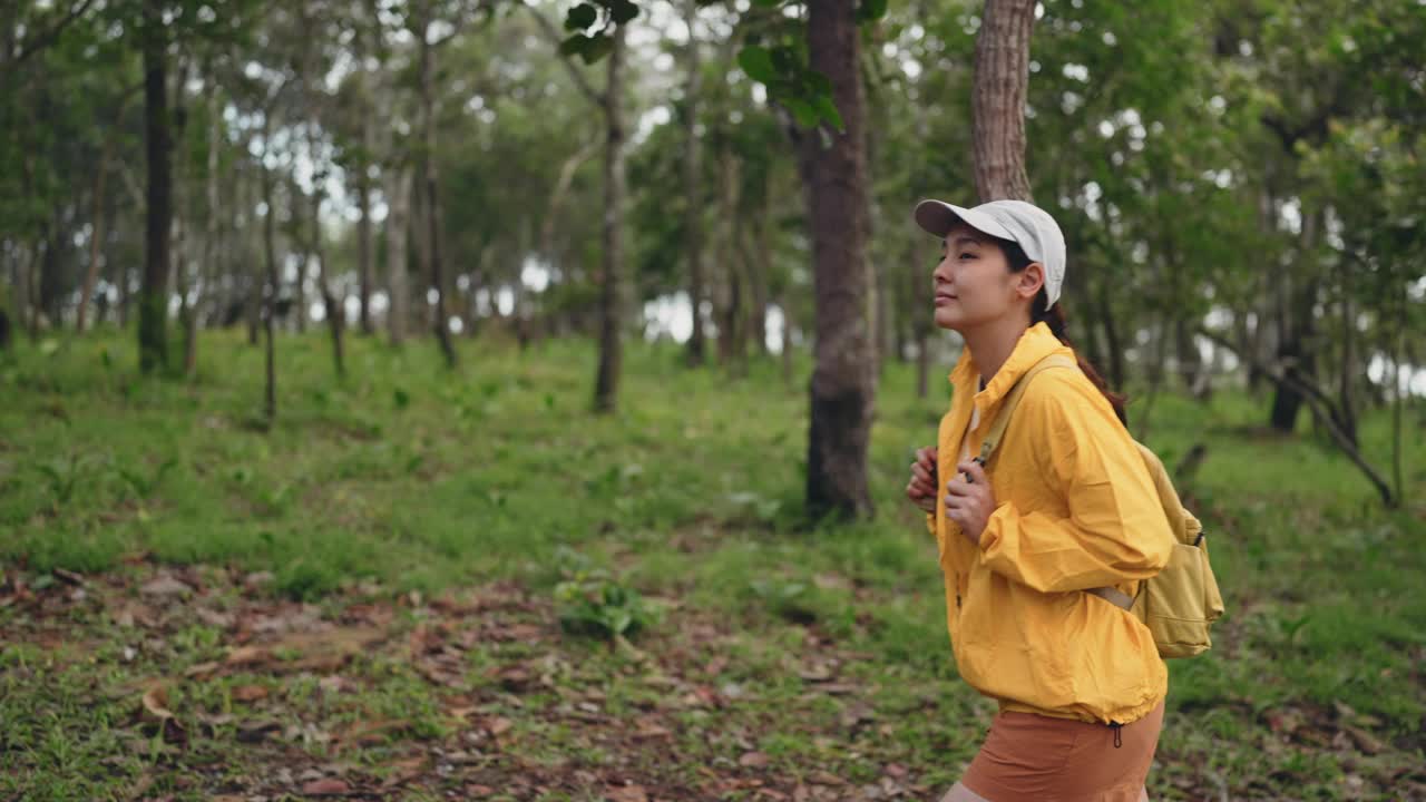 穿着黄色雨衣背着背包的女徒步旅行者在森林里徒步旅行视频素材