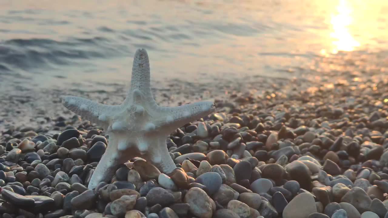 日落时海洋上的海星视频素材