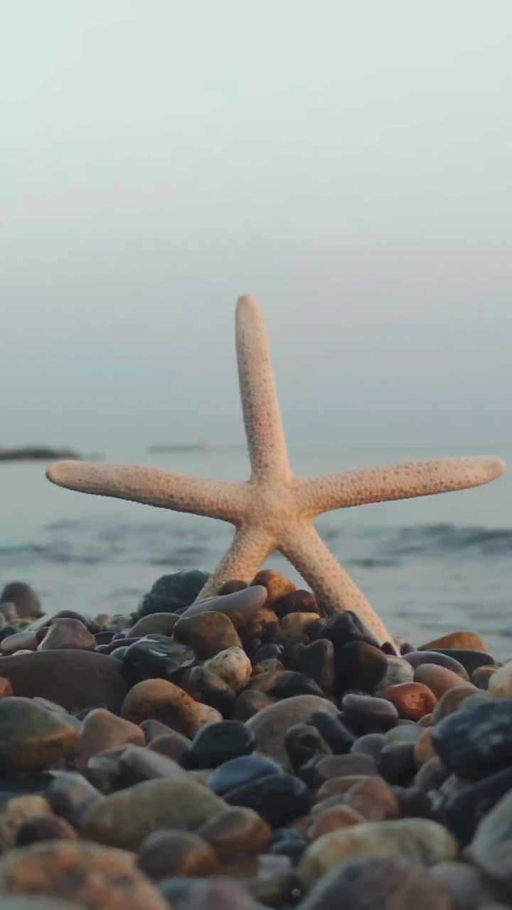 日落时海洋上的海星视频素材