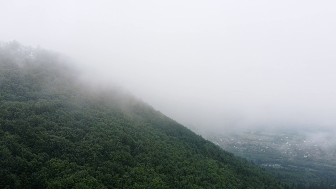 空中无人机拍摄的清晨薄雾在夏日阴天美丽的山脉背景上的森林上空翻滚。树峰突出，原始和未受影响的自然保护区，自然背景视频素材