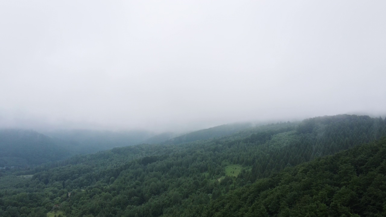 空中无人机拍摄的清晨薄雾，在夏日美丽的山脉背景下，雾在各种森林上翻滚。树峰突出，原始和未受影响的自然保护区，自然背景视频素材