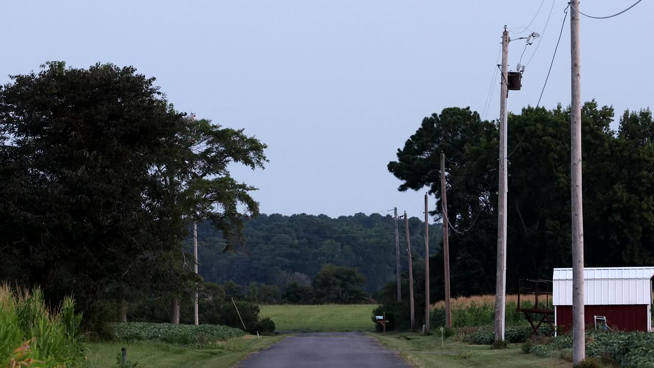 玉米地,马里兰州视频素材