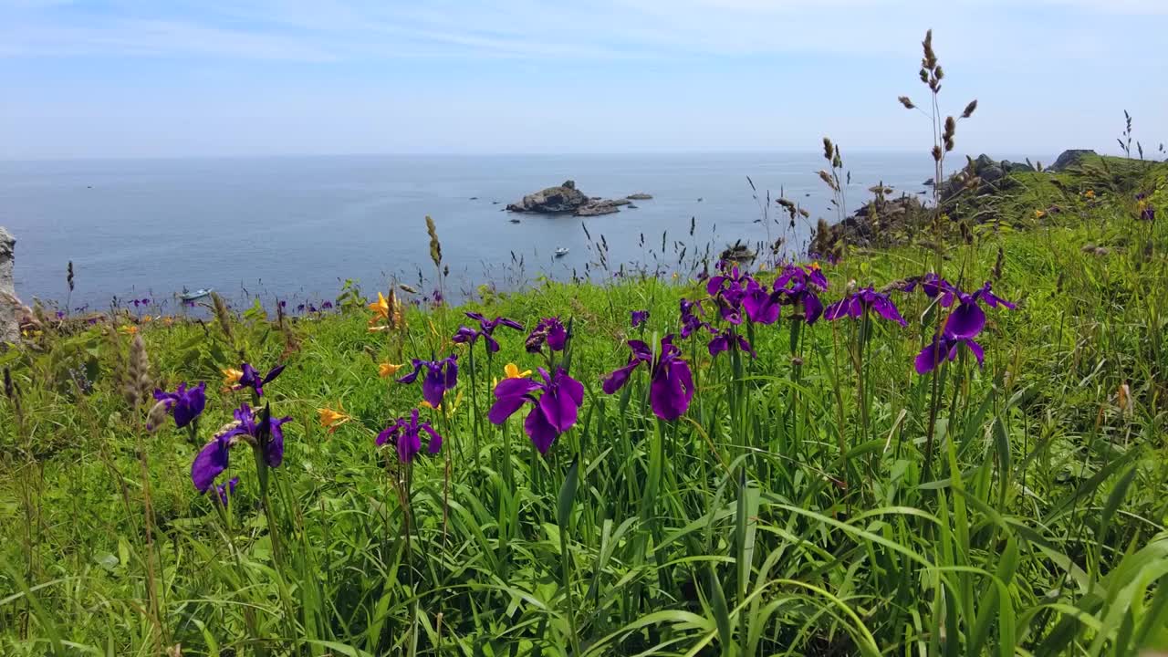 ria海岸视频素材