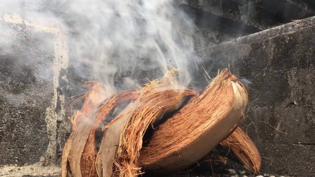 烟熏椰子纤维视频下载