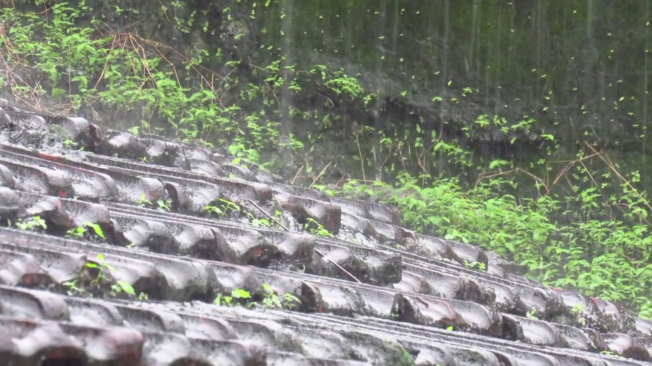 大雨落在传统乡村房屋的泥瓦屋顶上视频素材