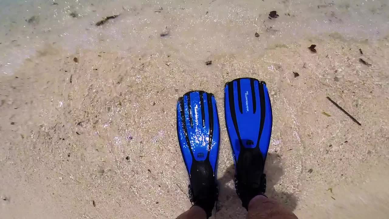 潜水员鳍的特写，一个浮潜者入水，鳍在沙子里，进入海洋。视频下载