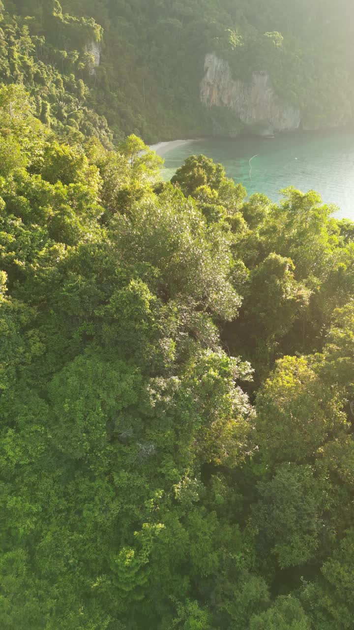 无人机拍摄的泰国皮皮岛Loh Dalum湾和Tonsai湾的猴子海滩。视频素材