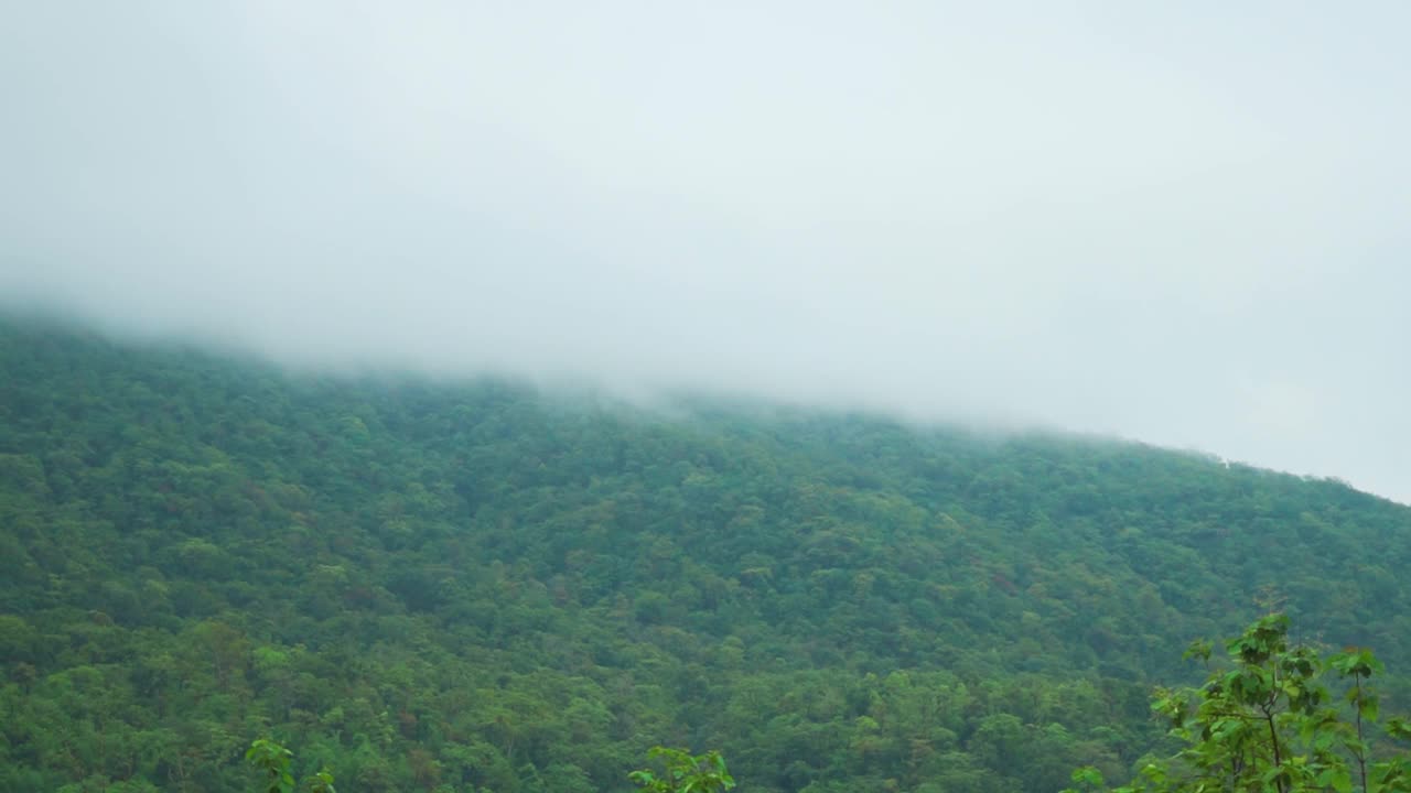 云在印度古吉拉特邦萨普塔拉山站的山上移动。在季风季节，云在郁郁葱葱的萨亚德里山上移动。雨季山上的云。视频素材