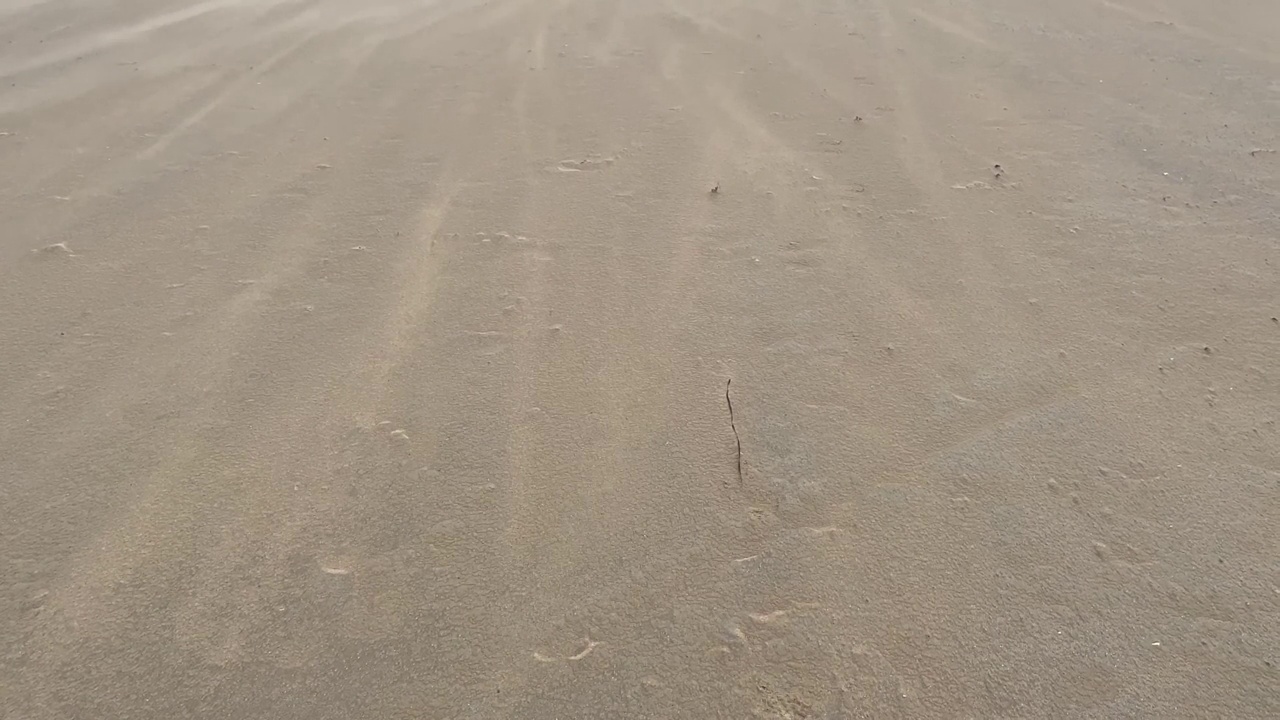 Tempête de sable sur la plage视频下载