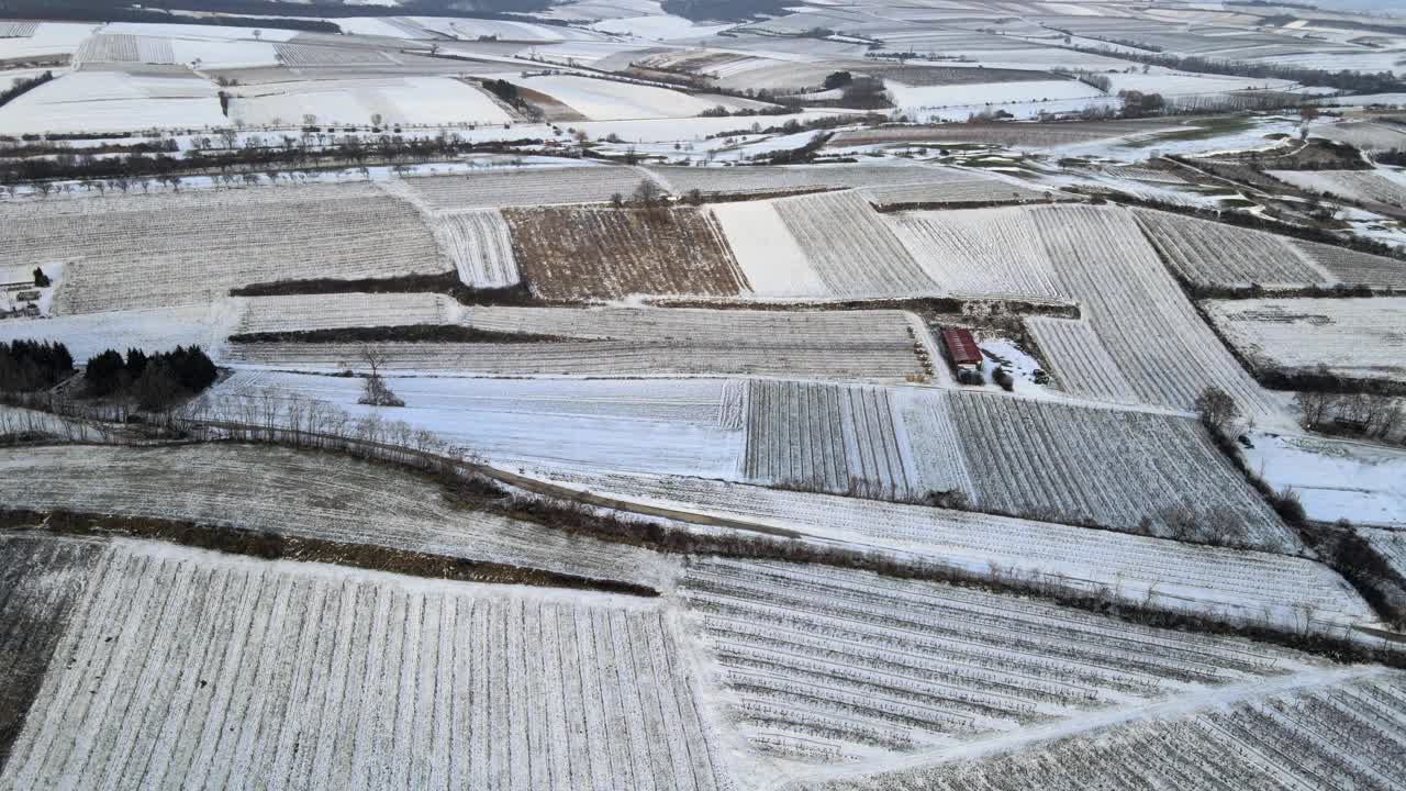 冬季鸟瞰葡萄园，波伊斯多夫，奥地利下奥地利。视频素材