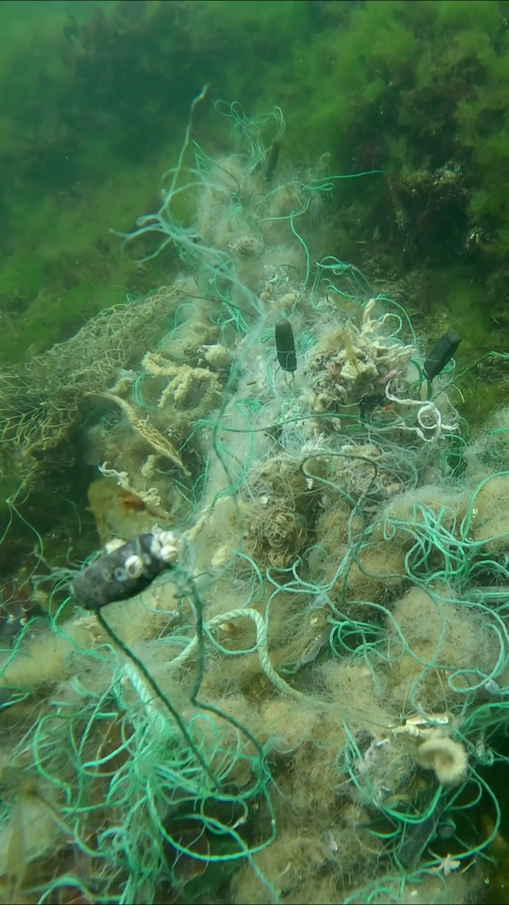 丢失的渔网躺在黑海浅水区绿藻Ulva的海底视频素材