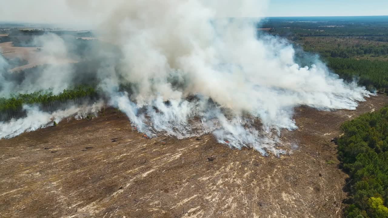 鸟瞰图:森林大火产生的白烟上升，污染了大气。自然灾害概念视频素材